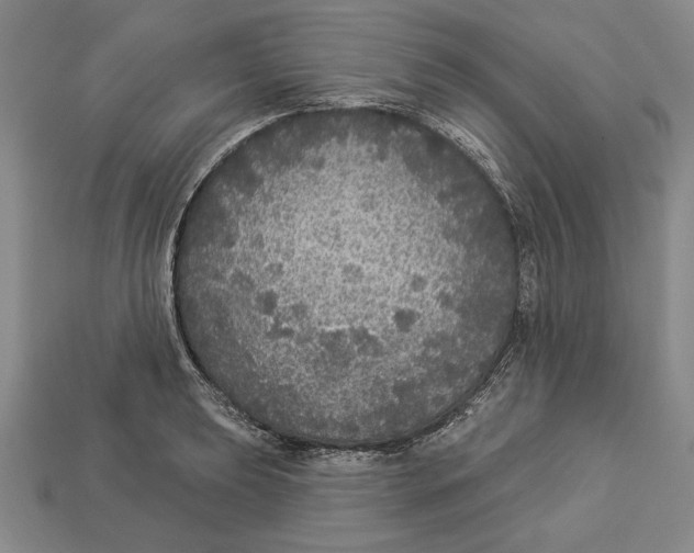 X0000112911039200909211027