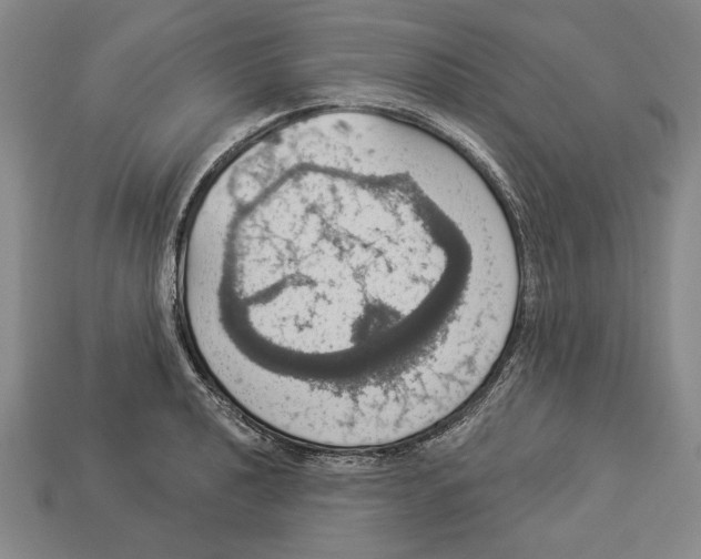 X0000112911040200909211027