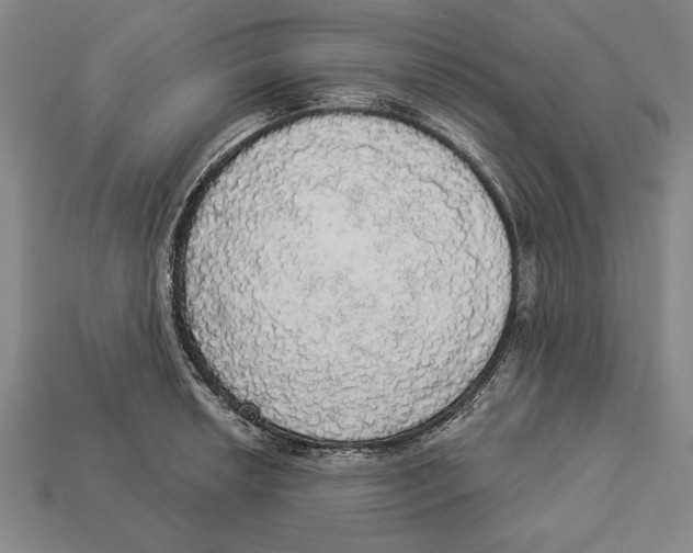 X0000112911042200909211027