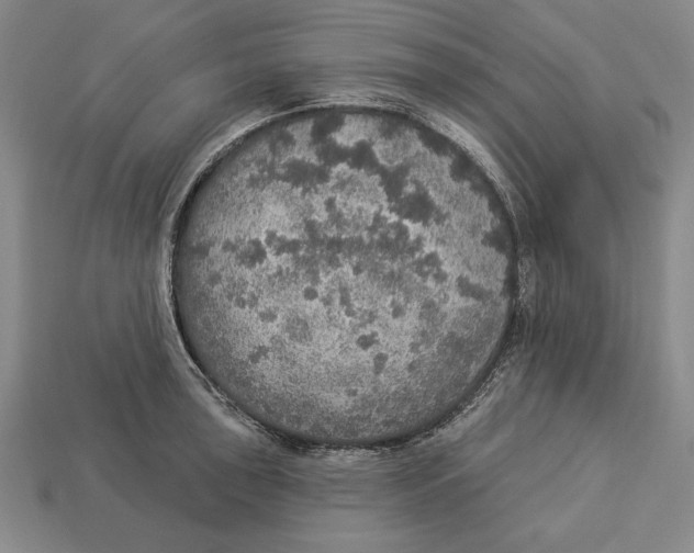 X0000112911043200909211027