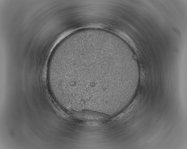 X0000112911044200909211027