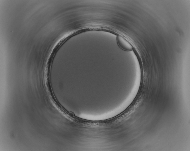 X0000112911045200909211027