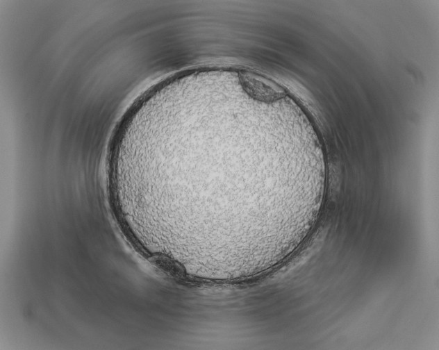 X0000112911046200909211027