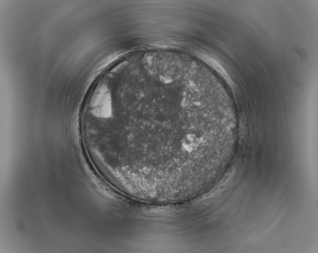 X0000112911047200909211027