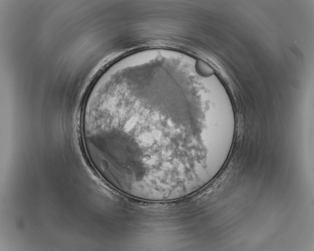 X0000112911048200909211027