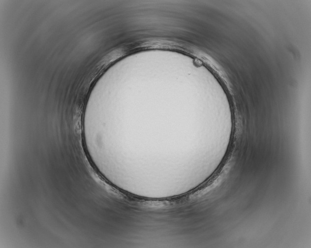 X0000112911049200909211027