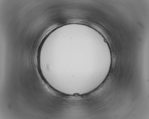 X0000112911050200909211027