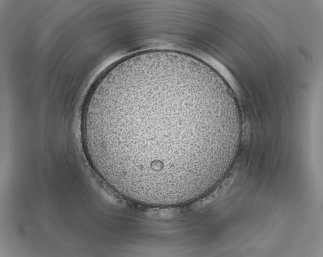 X0000112911051200909211027