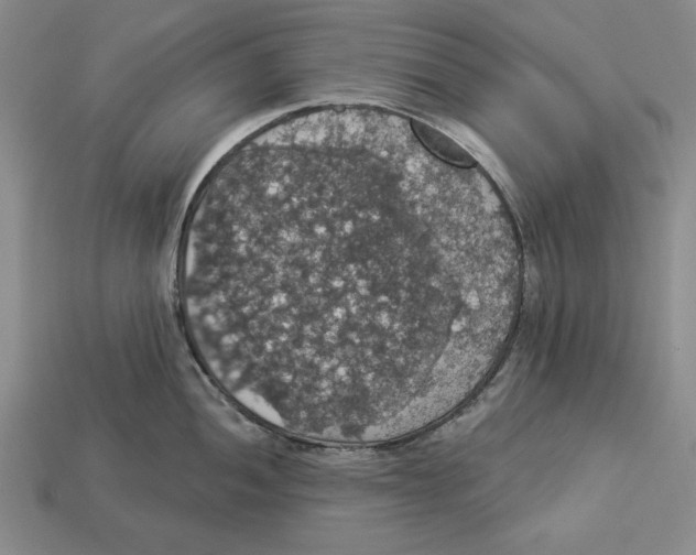 X0000112911052200909211027