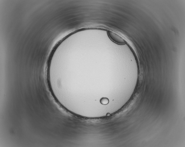 X0000112911053200909211027