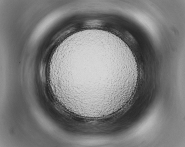 X0000112911054200909211027