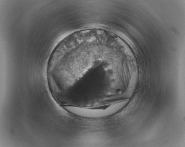 X0000112911055200909211027