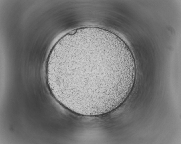 X0000112911056200909211027