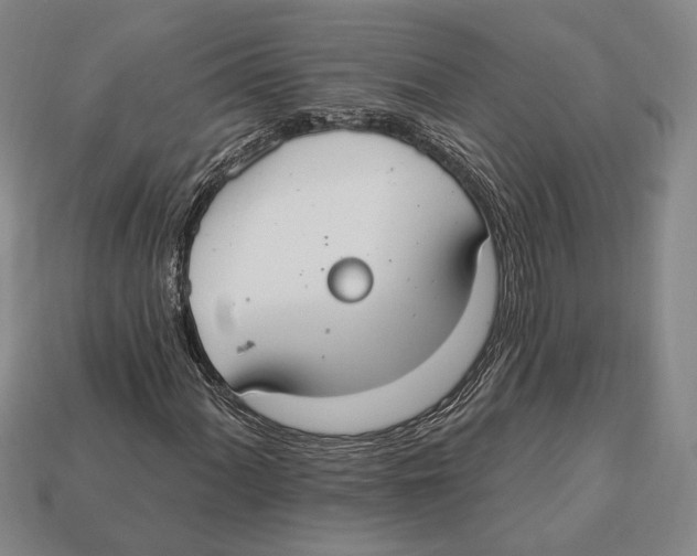 X0000112911060200909211026