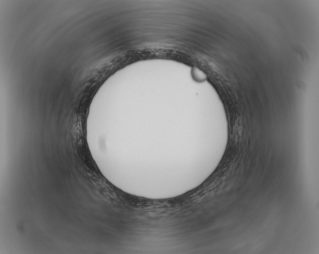 X0000112911062200909211026