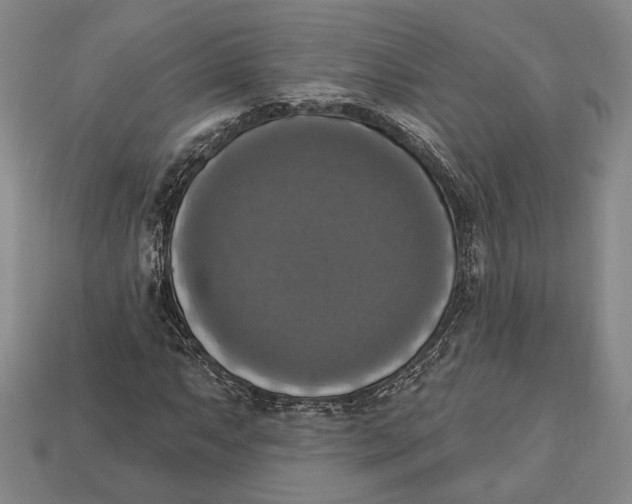 X0000112911063200909211026