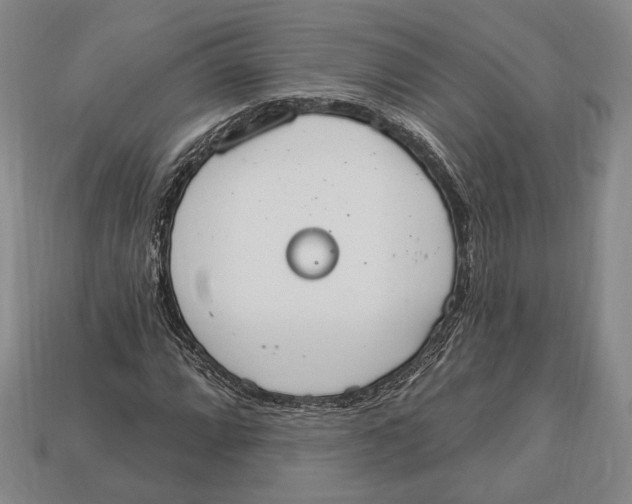 X0000112911064200909211026