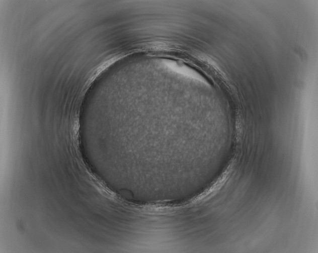 X0000112911065200909211026