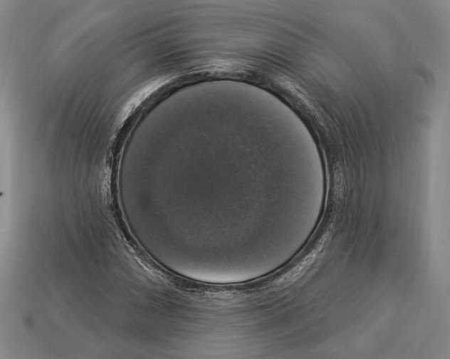 X0000112911066200909211026