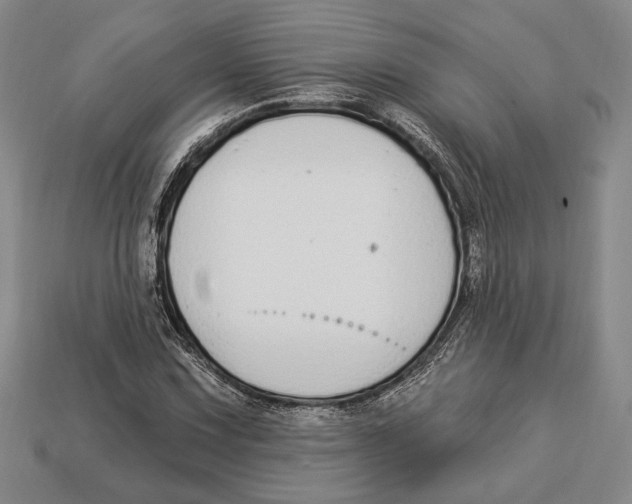 X0000112911067200909211026