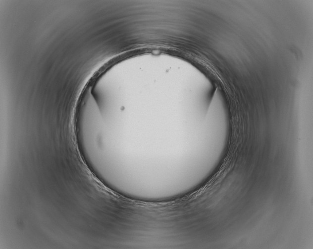 X0000112911068200909211026