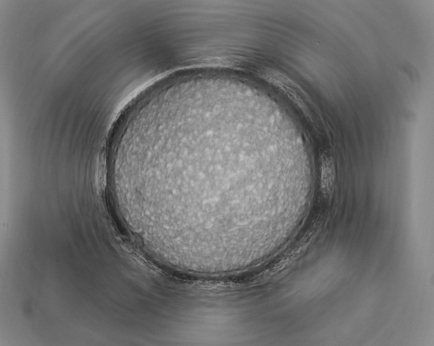 X0000112911069200909211026