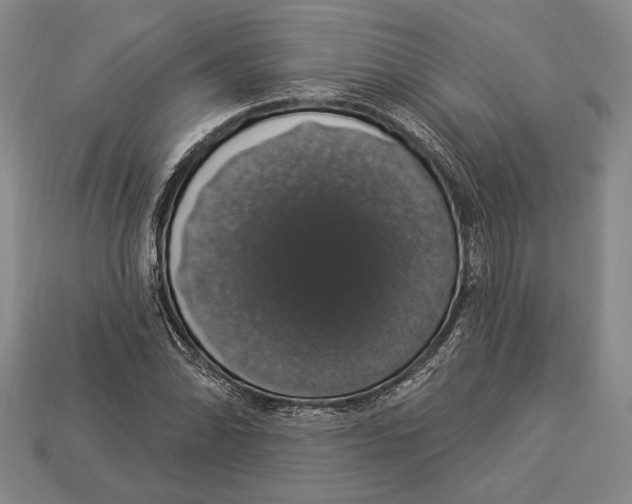 X0000112911070200909211026