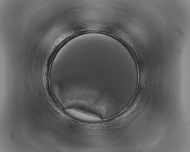 X0000112911071200909211026