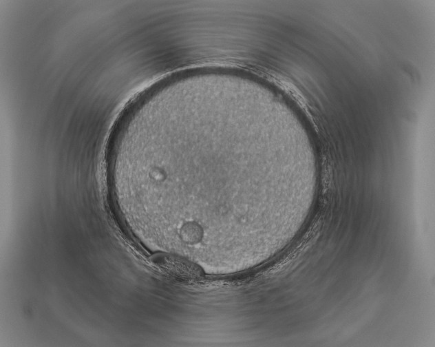 X0000112911072200909211026