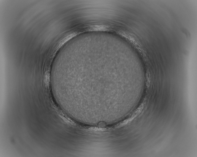 X0000112911073200909211026