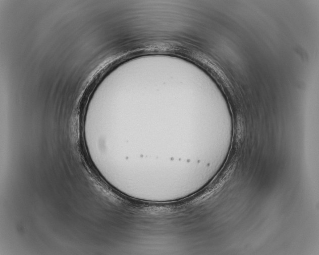 X0000112911075200909211026