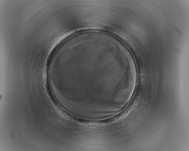 X0000112911077200909211026