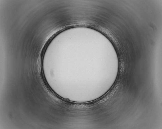 X0000112911079200909211026