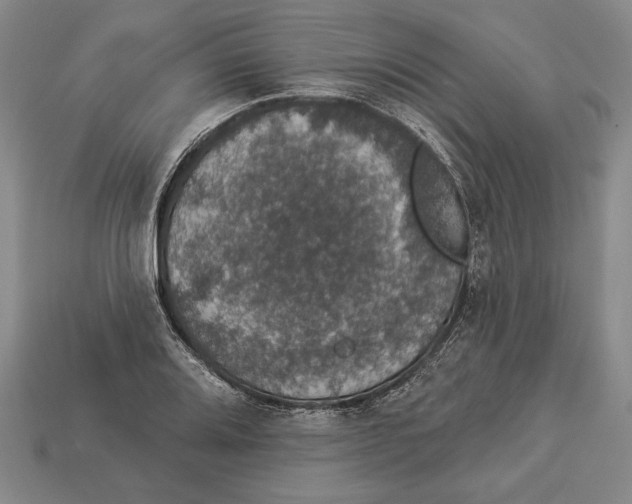 X0000112911080200909211026