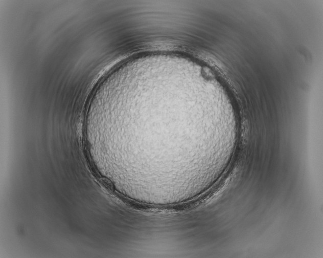 X0000112911081200909211026