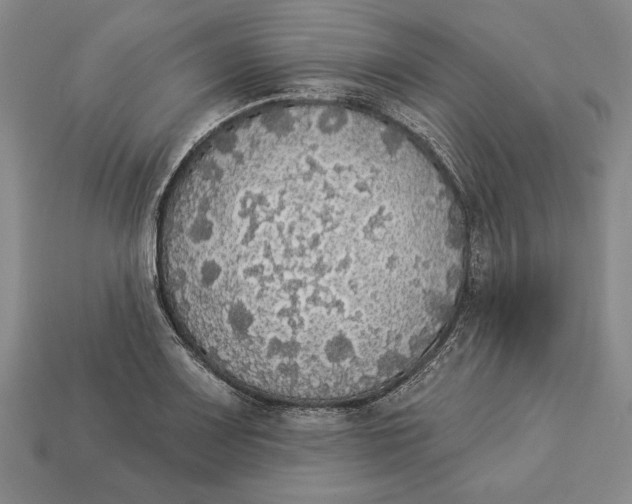 X0000112911083200909211026