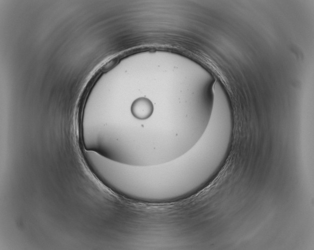 X0000112911084200909211026