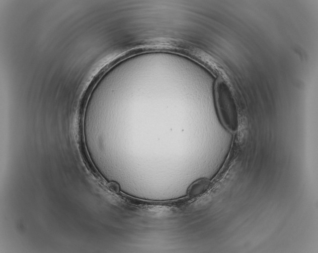 X0000112911085200909211026