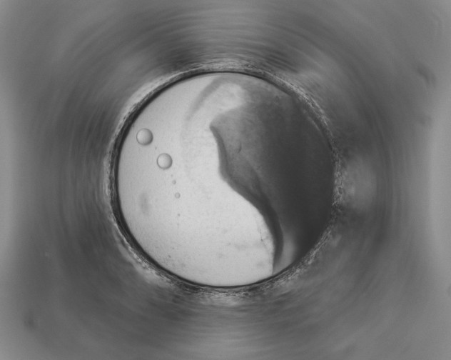 X0000112911086200909211026