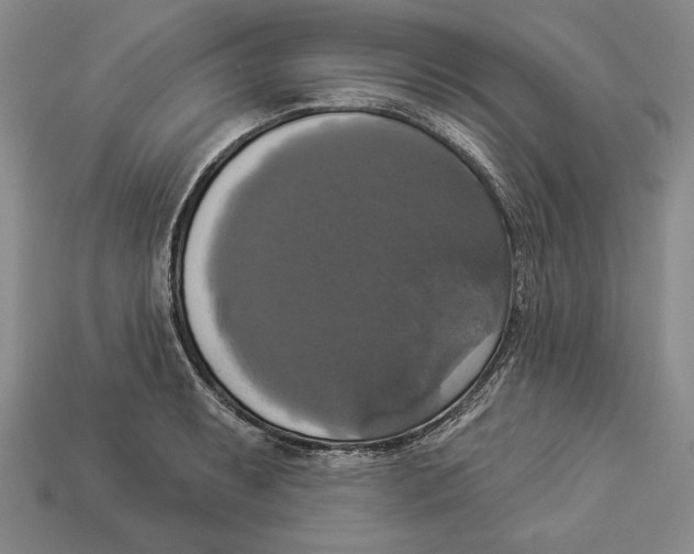 X0000112911087200909211026