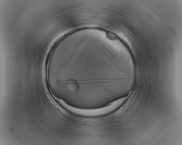 X0000112911088200909211026