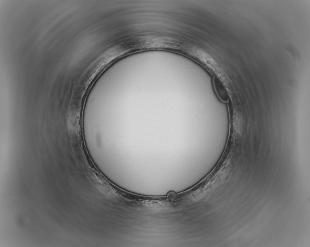 X0000112911089200909211026