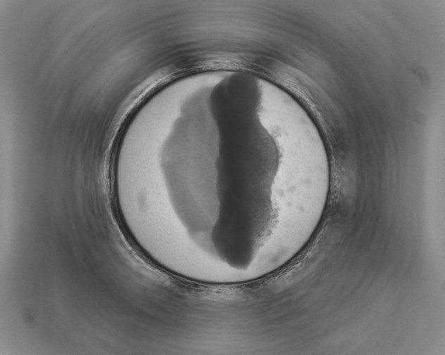 X0000112911090200909211026