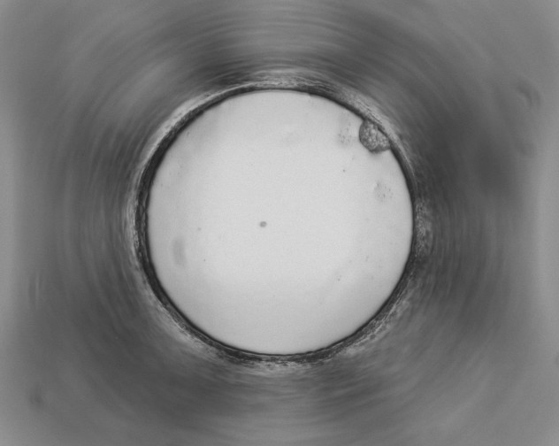 X0000112911091200909211026