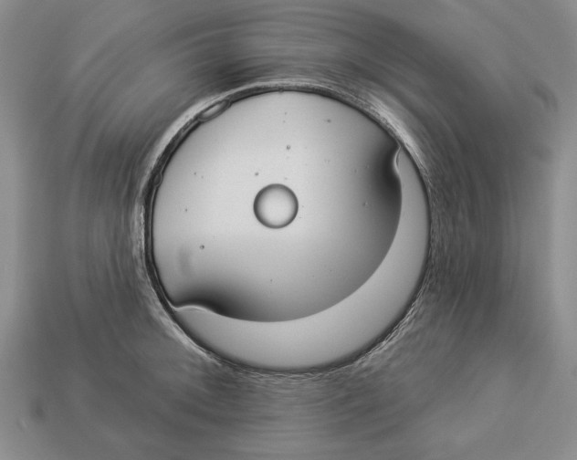 X0000112911092200909211026