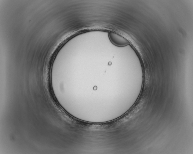 X0000112911093200909211026