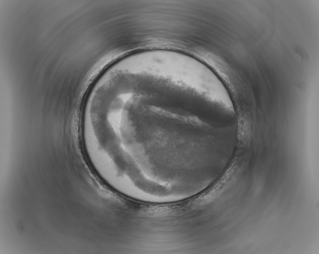 X0000112911094200909211026