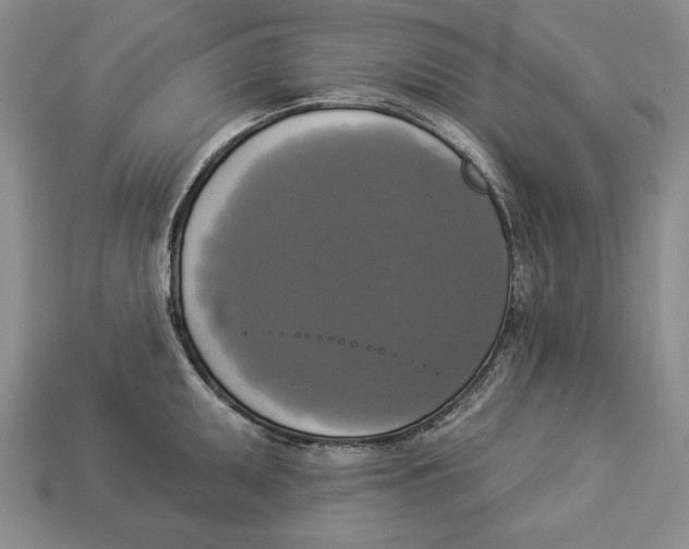 X0000112911095200909211026