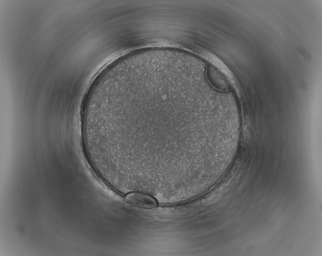 X0000112911096200909211026