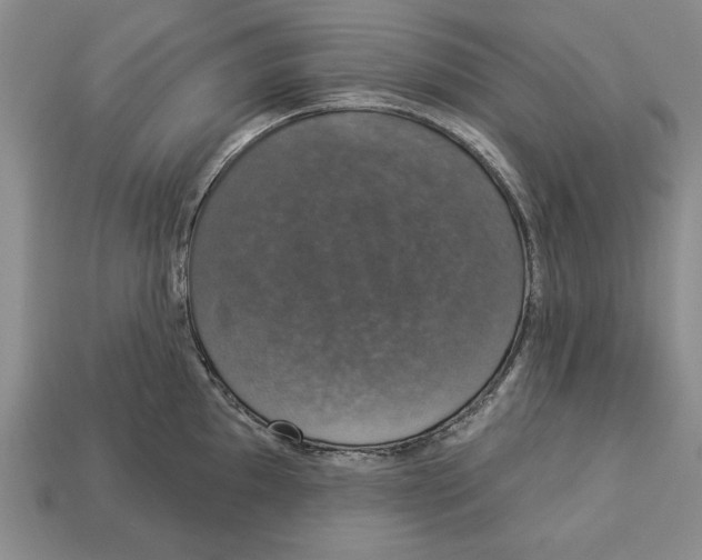 X0000112911097200909211026